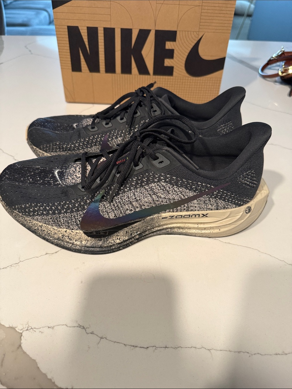 Nike Pegasus Plus Black and Iridescent Swoosh ZoomX Running Sneakers